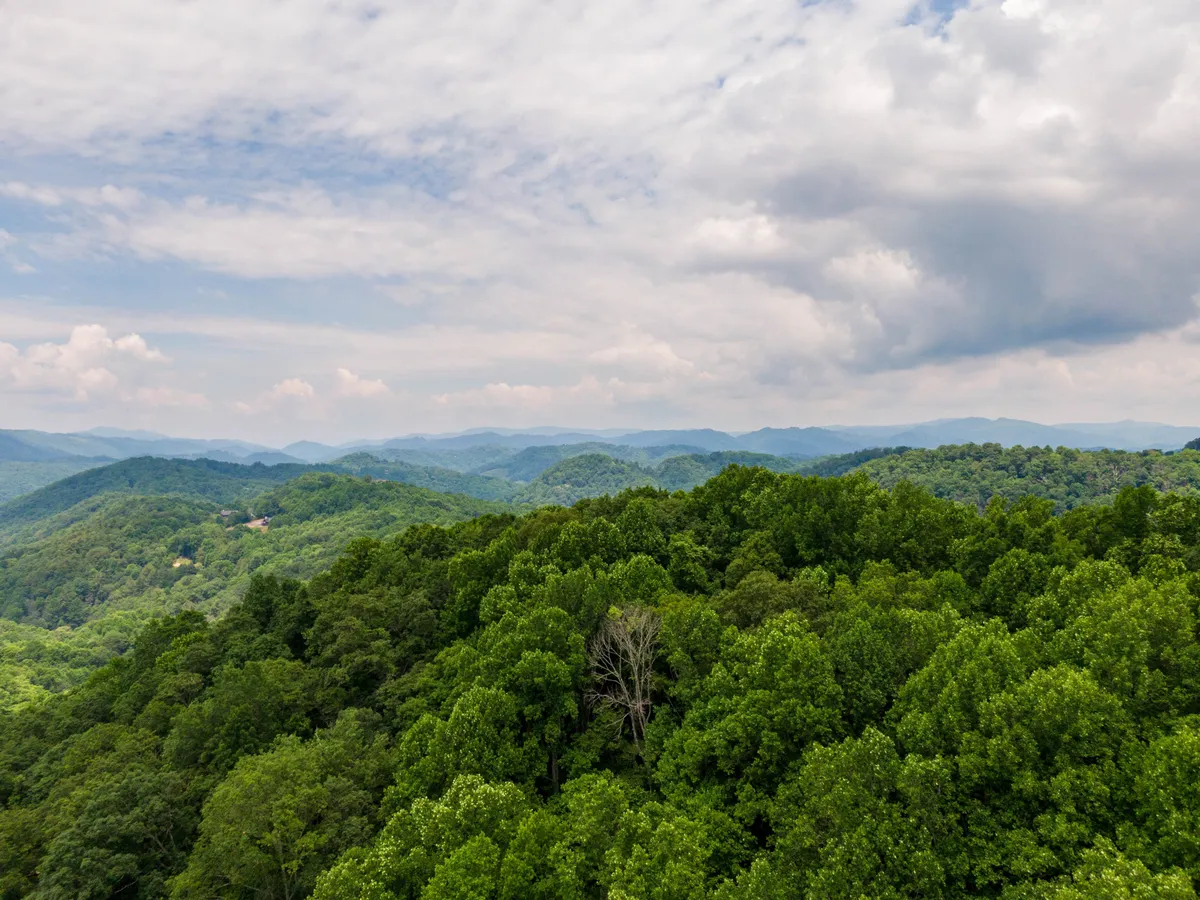 A panoramic view of rolling green forests and distant mountains beneath a cloudy sky, evoking a sense of tranquility and open space ideal for exploration and recreation.