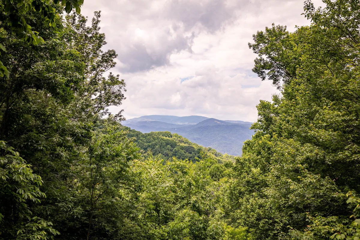 This image showcases sweeping views of rolling mountains blanketed in dense greenery under a cloudy sky, evoking the scenic beauty and outdoor adventure opportunities in the High Country region.