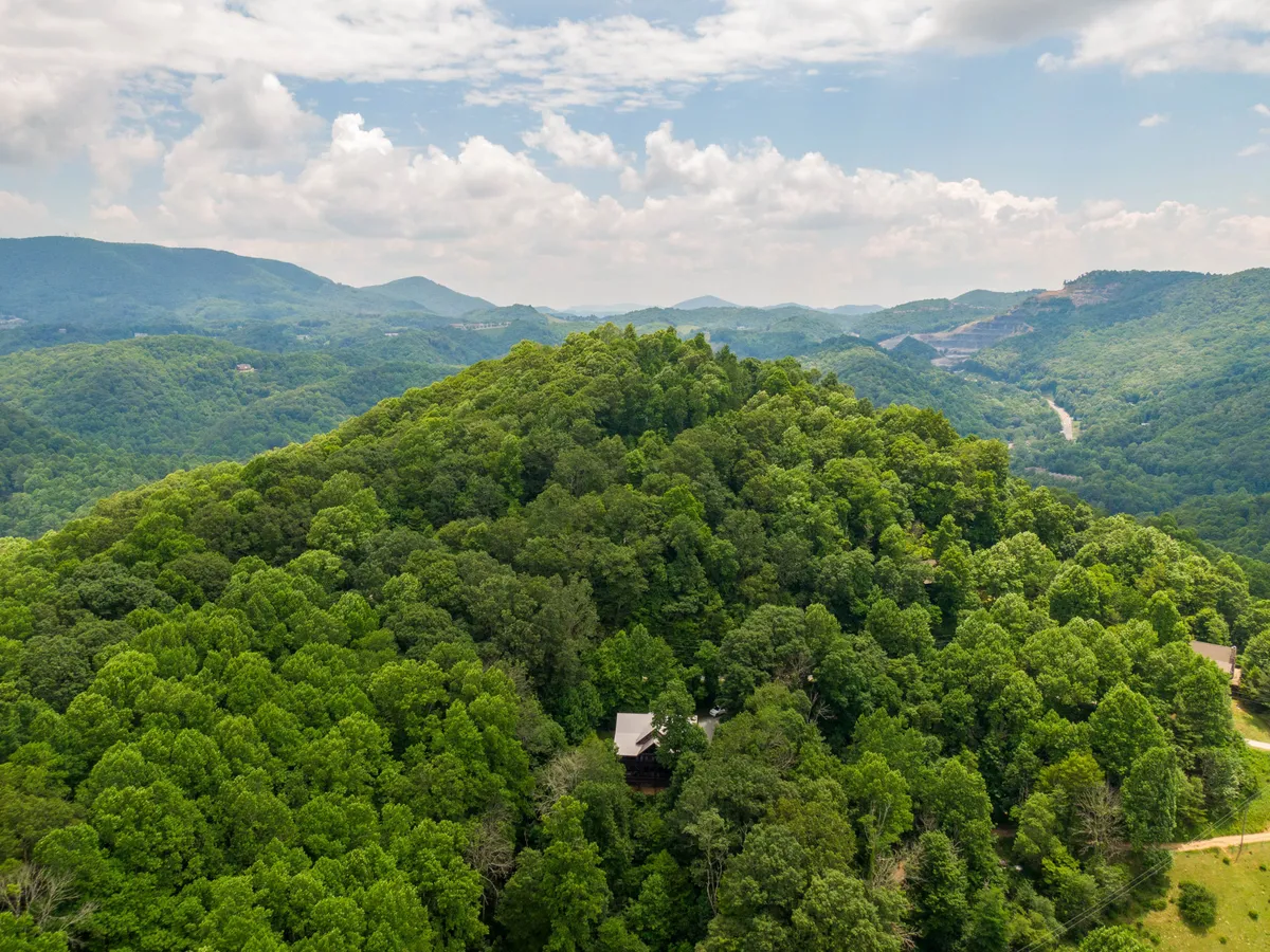 A wide view of lush green trees and a mountainous landscape, with an isolated house nestled among the wilderness. The scene captures the serene beauty of the High Country, emphasizing outdoor adventure and tranquil escapes into nature.
